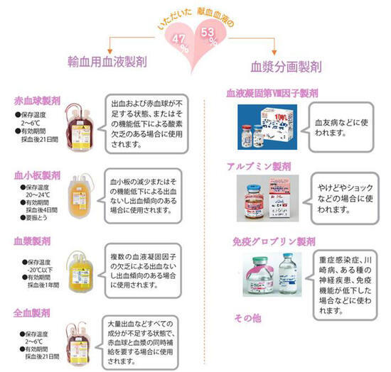 献血血液から造られる輸血用血液製剤と血漿分画製剤の画像