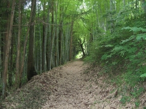 笠島廃寺跡の画像