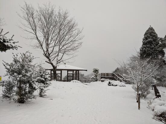 みはらしの広場（冬）の画像