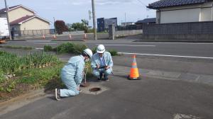 緊急調査状況2