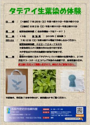 タデアイの生葉染め体験2507260802