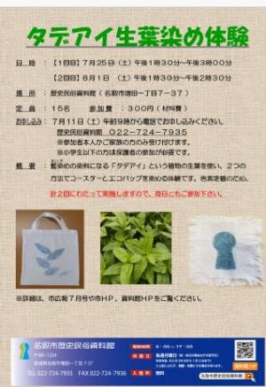 タデアイ生葉染め体験2607250801