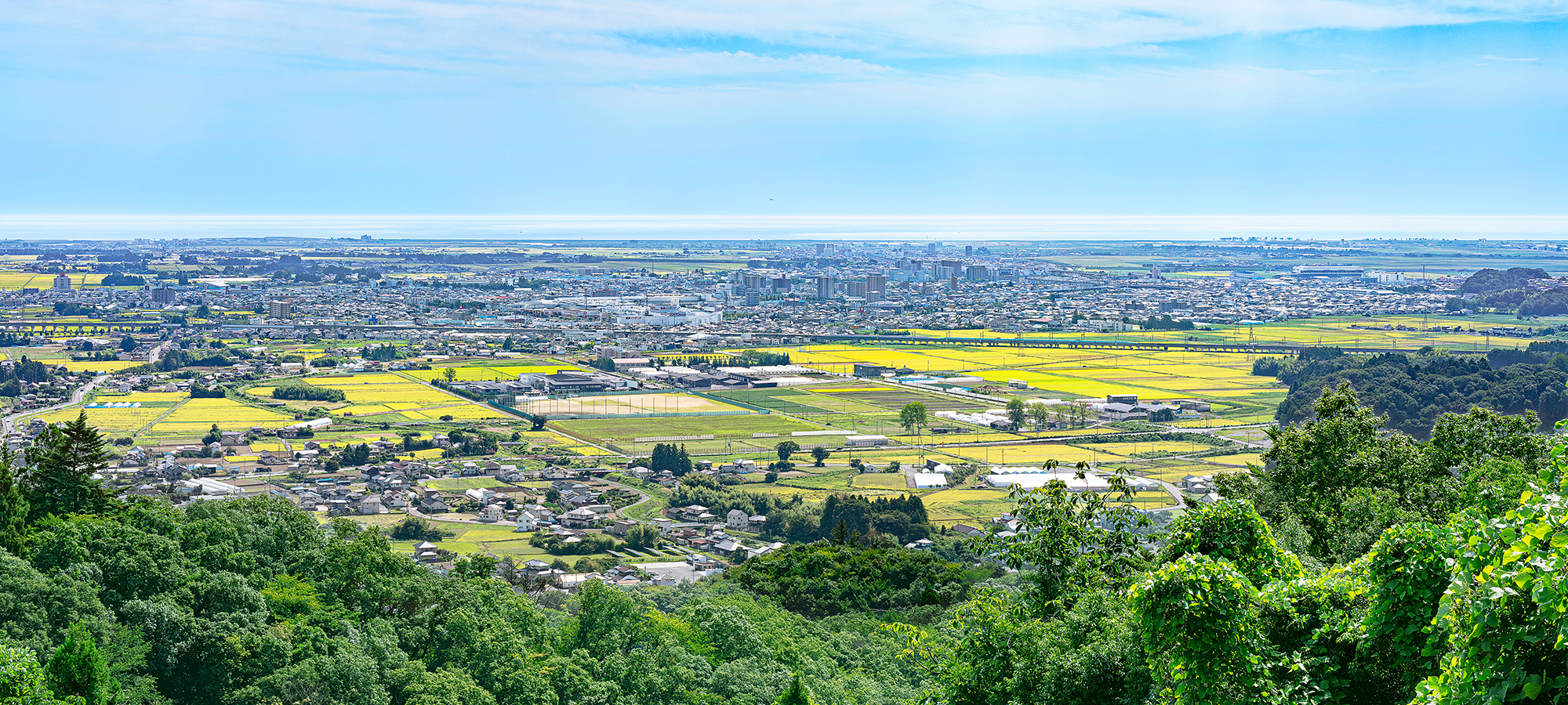 愛されるふるさと なとりの画像